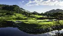 Green-4_dawn-pano_cropped.webp